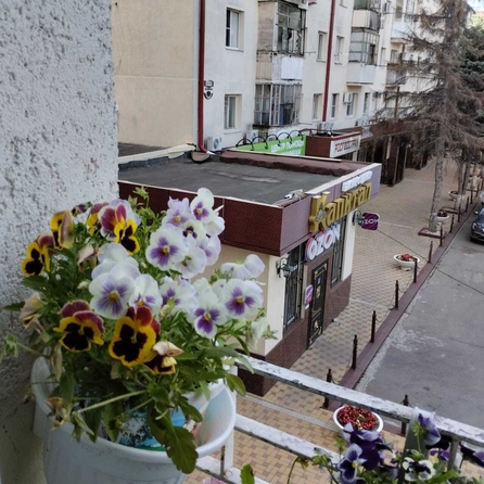 
  Продается 1-комн. квартира, 19 м², Крымская ул, д. 218
. Фото 5.