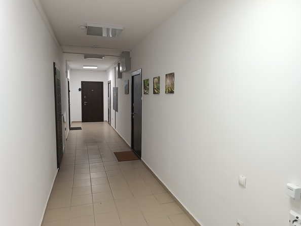 
  Продается 2-комнатный апартамент, 54 м², Пионерский пр-кт, д. 274Б
. Фото 17.