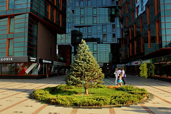
  Продается 1-комн. квартира, 63 м², Революции пр-кт, д. 3
. Фото 12.
