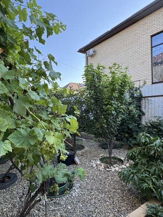 
  Продается дом, 120 м², станица Анапская
. Фото 30.
