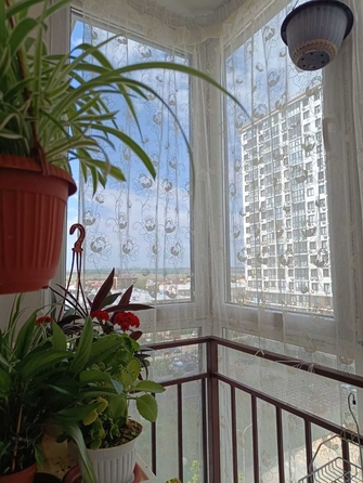 
  Продается студия, 32 м², Анапское ш, д. 24к1
. Фото 6.