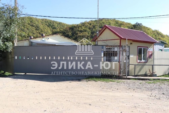 
  Продается готовый бизнес, 1000 м², Колхозная ул
. Фото 2.