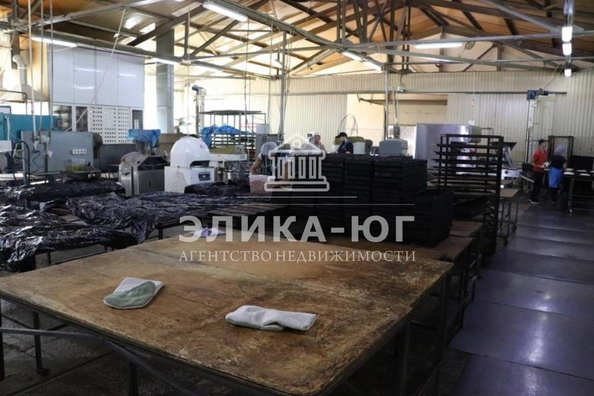 
  Продается готовый бизнес, 1000 м², Колхозная ул
. Фото 4.