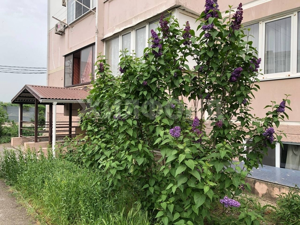 
  Продается студия, 19.9 м², Строителей ул, д. 2
. Фото 6.