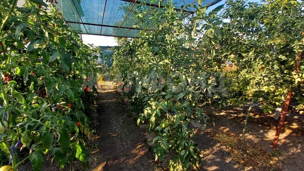 
  Продается дом, 136 м², станица Гостагаевская
. Фото 5.