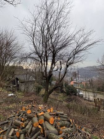 
  Продается дача, 25 м², село Верхний Юрт
. Фото 4.