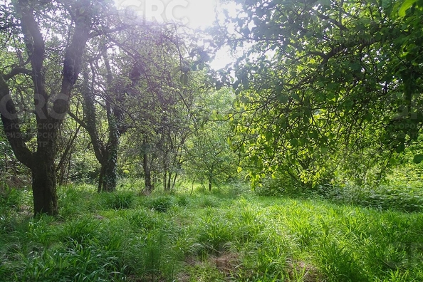 
  Продается дом 122 м². Фото 4.