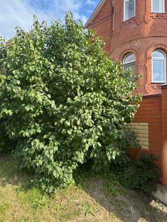 
  Продается 3-комн. квартира, 105 м², Николаевская ул, д. 10
. Фото 22.