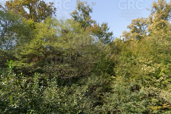 
  Продается 2-комн. квартира, 47.9 м², Известинская ул, д. 29/2
. Фото 8.