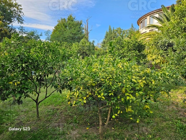 
  Продается дом 500 м². Фото 22.