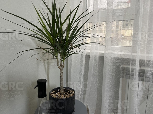 
  Продается студия 53.2 м². Фото 12.
