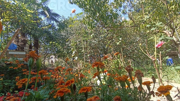 
  Продается дом, 140 м², Сочи
. Фото 15.