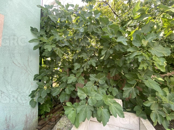 
  Продается дом, 83 м², Сочи
. Фото 40.