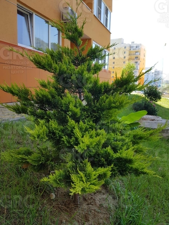 
  Продается 2-комн. квартира 37 м². Фото 19.