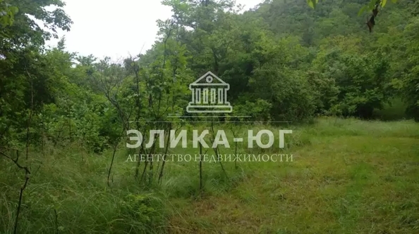 
  Продается земельный участок 4 сотки. Фото 2.