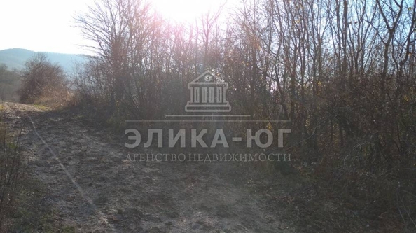 
  Продается земельный участок 7 соток. Фото 8.