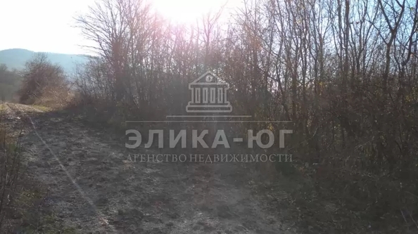 
  Продается земельный участок 7 соток. Фото 8.