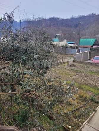 
  Продам  дачный участок Сочи

. Фото 5.