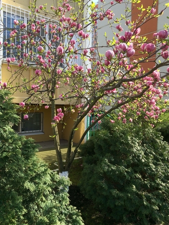 
  Продам 2-комн. квартиру 60.5 м². Фото 14.