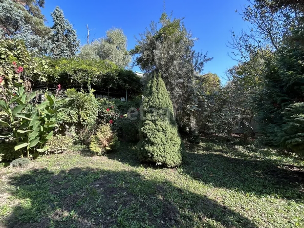 
  Продается дача 50 м². Фото 20.