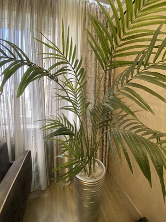 
  Продается 2-комн. квартира 50 м². Фото 29.
