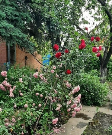 
  Продается дом 204 м². Фото 9.