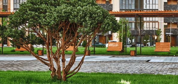 
  Продается студия 25.68 м², в ЖК Образцово, дом 3. Фото 9.