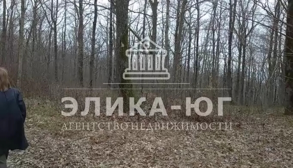 
  Продается земельный участок 18 соток. Фото 3.