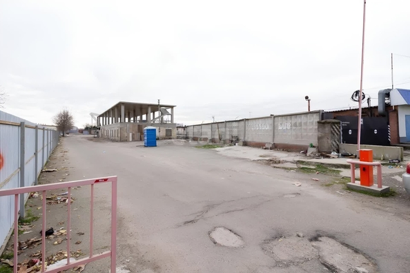 
  Продается земельный участок 53.7 сотки. Фото 1.