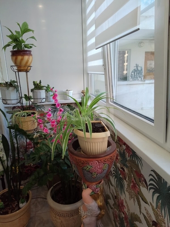 
  Продается 2-комн. квартира 65.93 м². Фото 20.