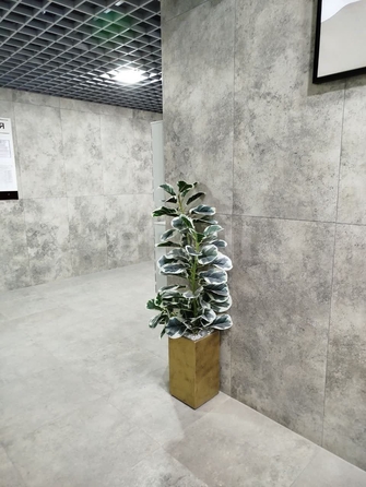 
  Продается 2-комн. квартира 60.3 м², в ЖК Кубанский, литера 5.1. Фото 13.