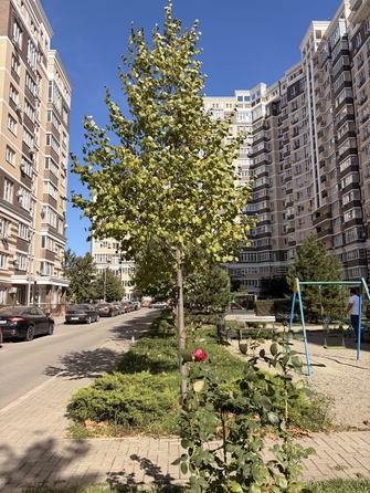 
  Продается 2-комн. квартира 56.4 м². Фото 19.