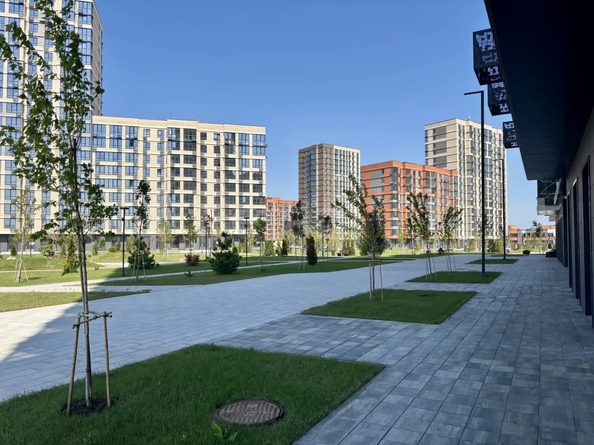 
  Продается универсальное помещение 33.5 м². Фото 16.