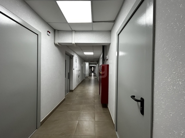 
  Сдается универсальное помещение 28.6 м². Фото 5.