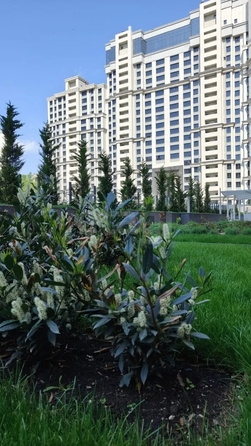 
  Продается студия 29.4 м², в ЖК Сердце. Фото 11.
