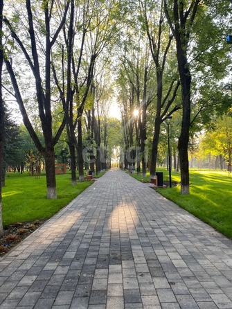 
  Сдается 1-комн. квартира 36.4 м². Фото 13.
