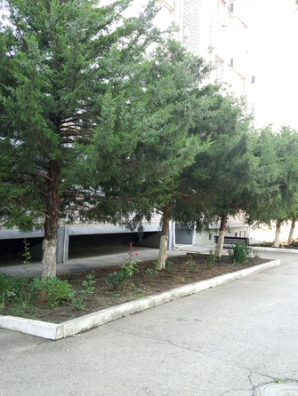 
  Сдам 2-комн. квартиру 67 м². Фото 15.