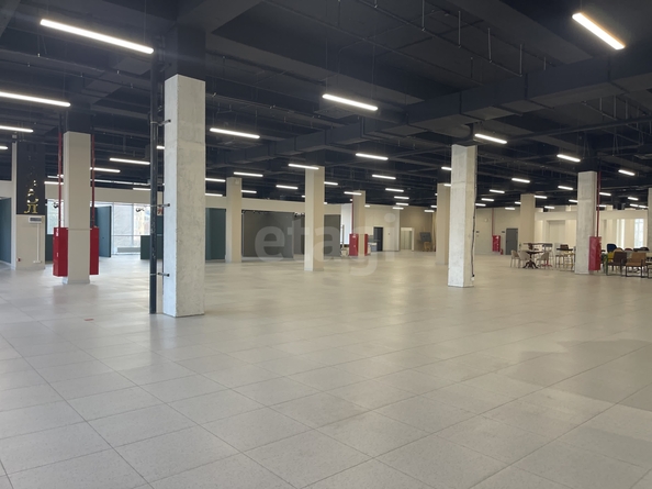 
  Сдается универсальное помещение 5000 м². Фото 6.