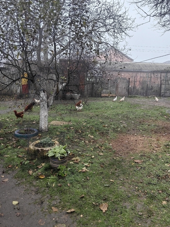 
  Продается 1-комн. квартира 30 м². Фото 11.