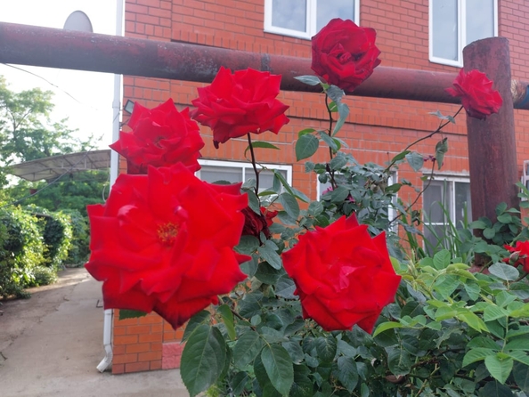
  Продается коттедж 126 м². Фото 25.