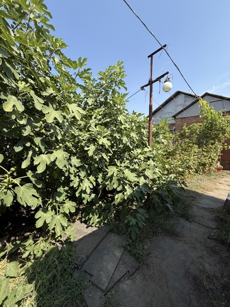 
  Продается дом 70 м². Фото 6.