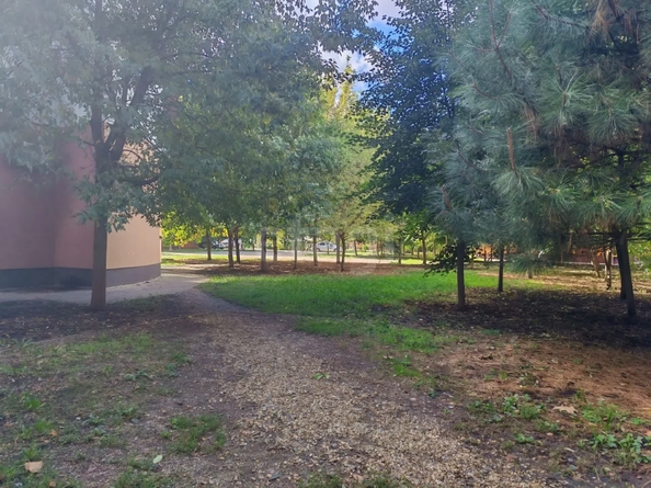 
  Продается 1-комн. квартира 54 м². Фото 26.