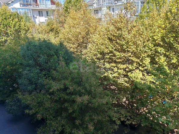 
  Продается 1-комн. квартира 54 м². Фото 31.