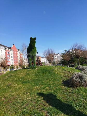 
  Продается 1-комн. квартира 54 м². Фото 37.