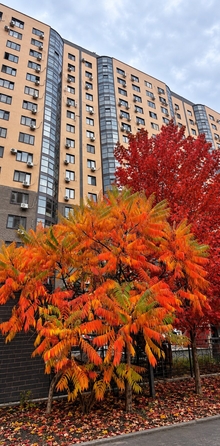 
  Продается 3-комн. квартира 77.7 м². Фото 22.