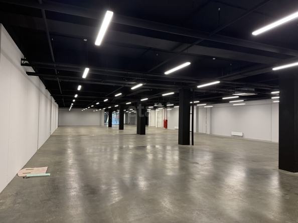 
  Сдается универсальное помещение 1200 м². Фото 8.