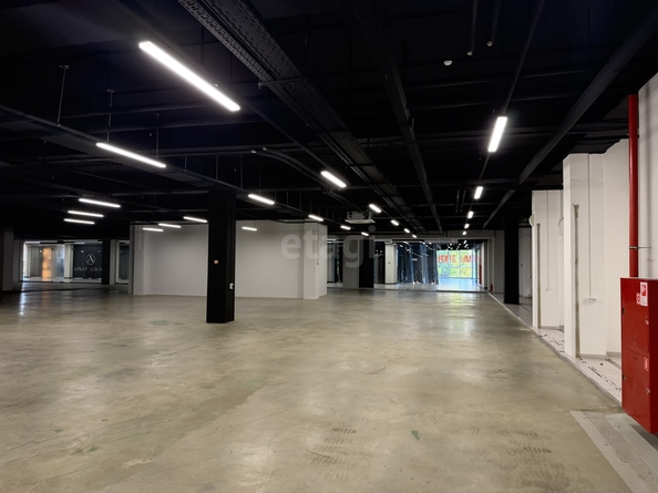 
  Сдается универсальное помещение 1200 м². Фото 9.