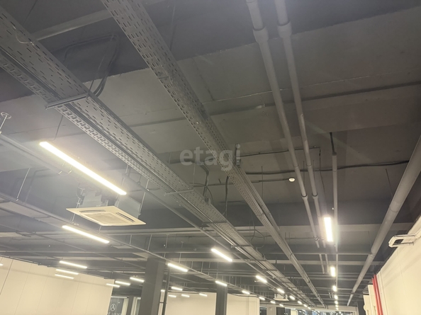 
  Сдается универсальное помещение 1200 м². Фото 13.