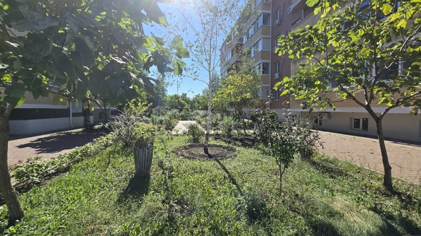 
  Продается студия 18.3 м². Фото 18.