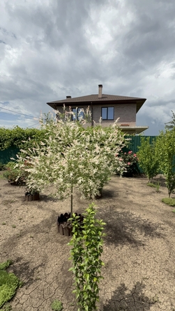
  Продается коттедж 90 м². Фото 34.